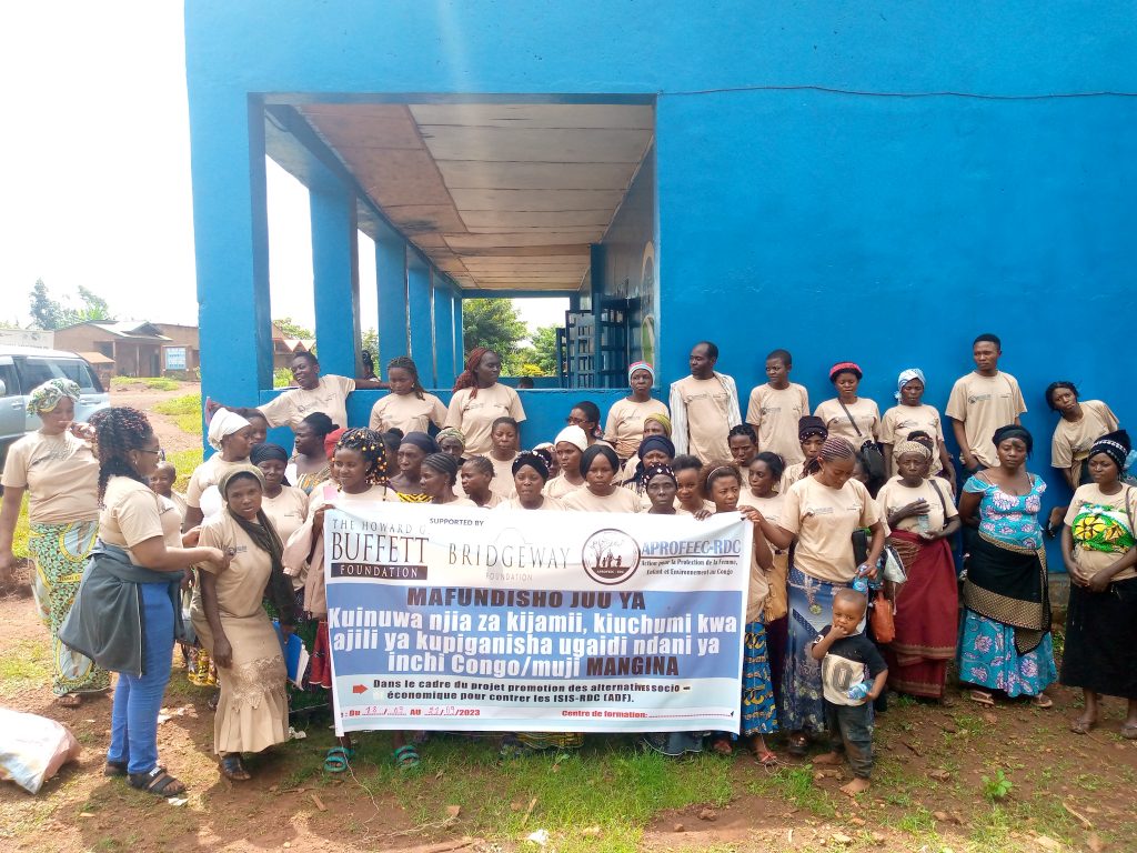 Projet de promotion des alternatives sociales et économiques en RDC (Mangina-Beni)